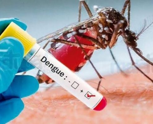 dengue-reproducao-1573407139827_v2_900x506